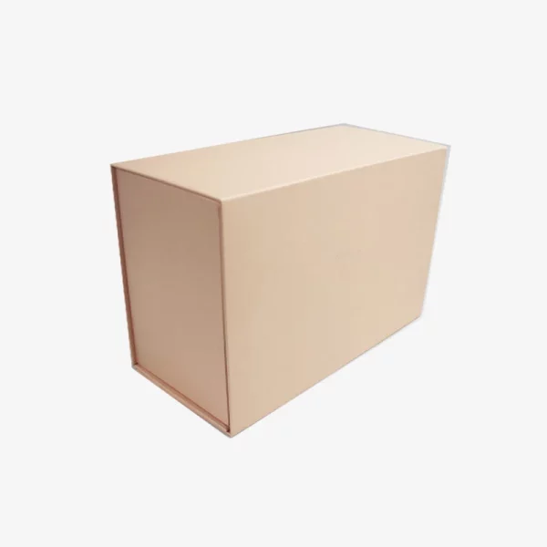 Carton Foldable Storage Box
