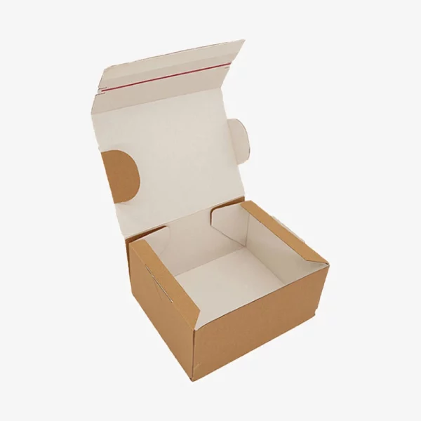 Zipper Adhesive Mailer Packaging Box 3