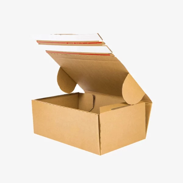 Zipper Adhesive Mailer Packaging Box